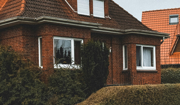Image of Domestic